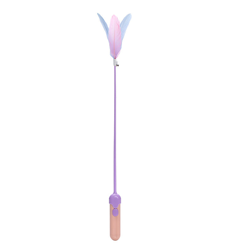 New Pet Cat Toy Products Feather Teasing Stick
