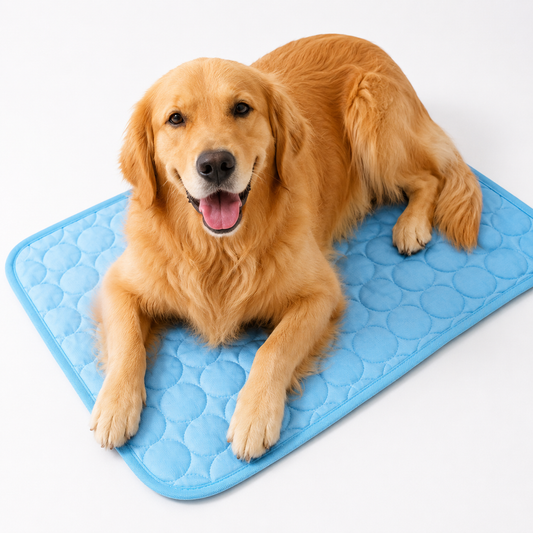 The Benefits of a Pet Ice Mat: Keep Your Dog Cool and Comfortable This Summer