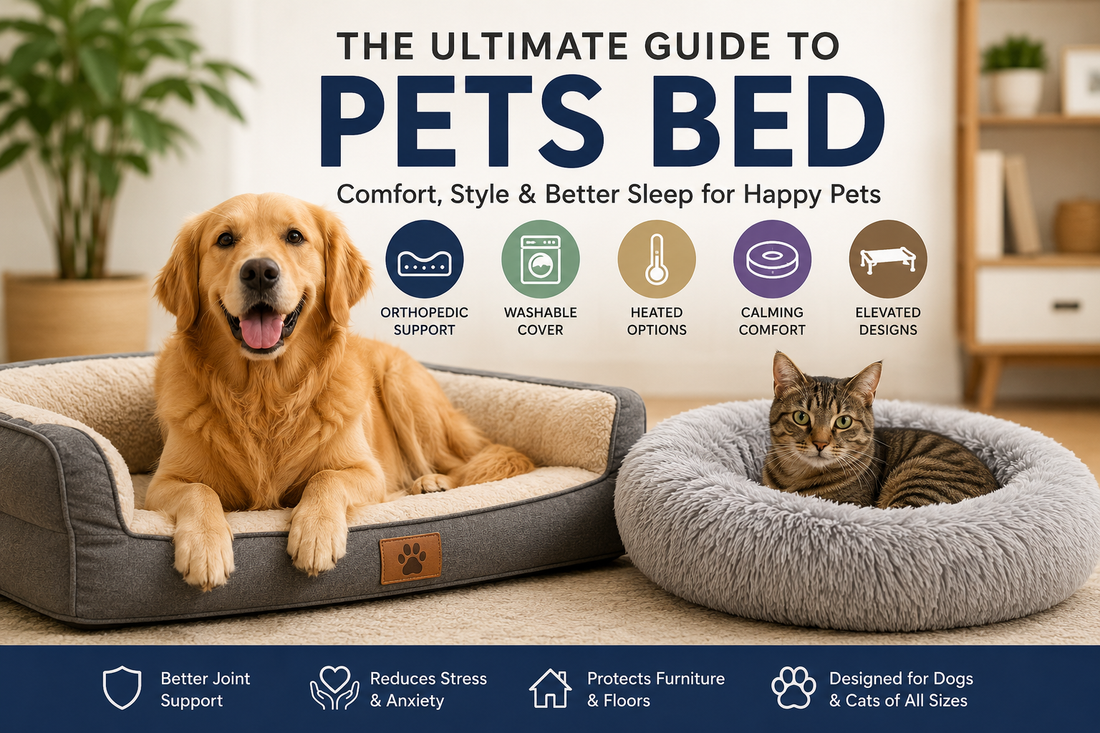 The Ultimate Guide to Choosing the Perfect Pets Bed for Dogs & Cats