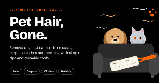 How to Remove Dog and Cat Hair from Sofas, Carpets, and Clothes
