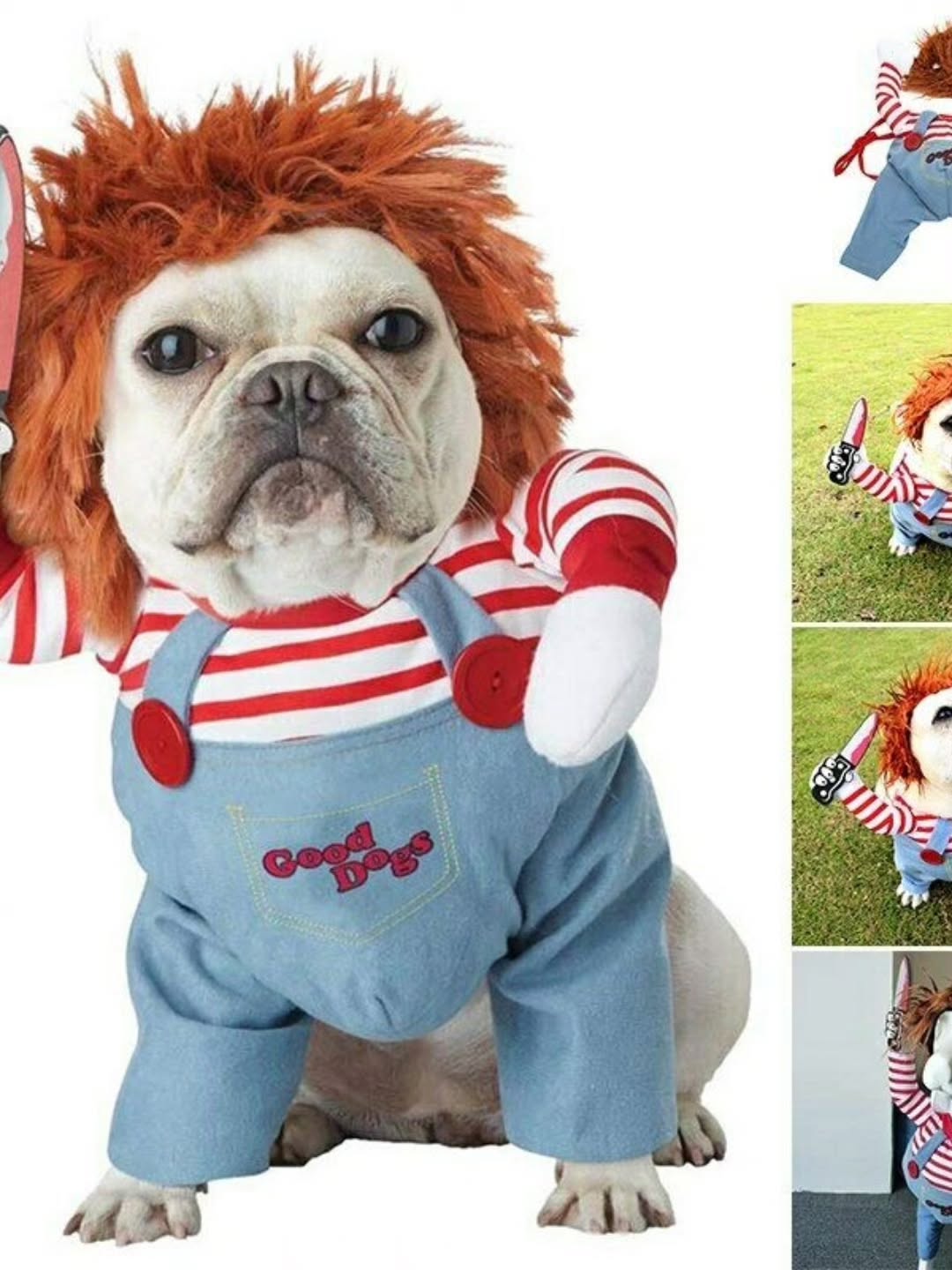 🎃 Halloween Dog Costume: The Funniest Way to Dress Up Your Pup This Halloween
