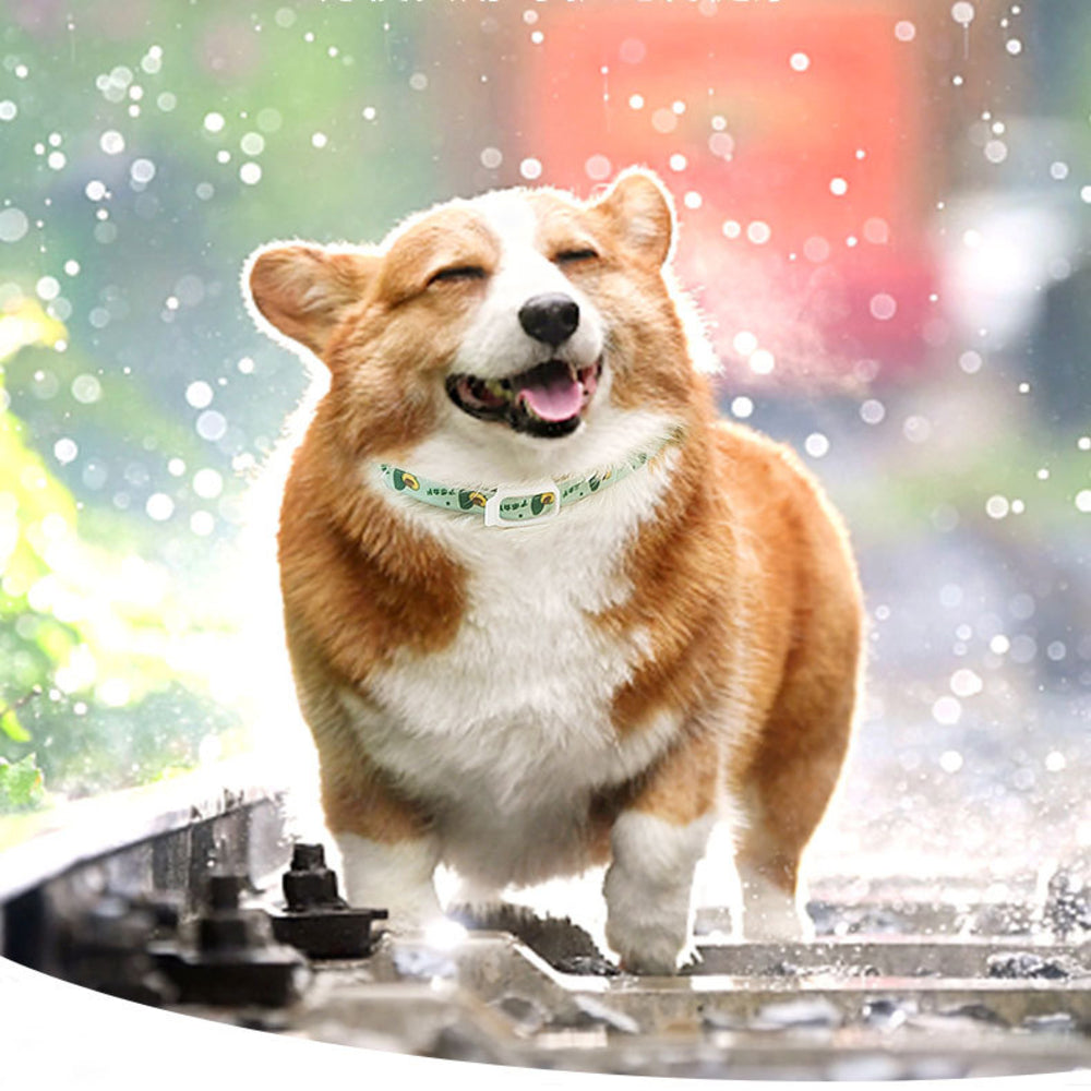Pet Dog Repellent Collar, Cat Anti-flea Collar,