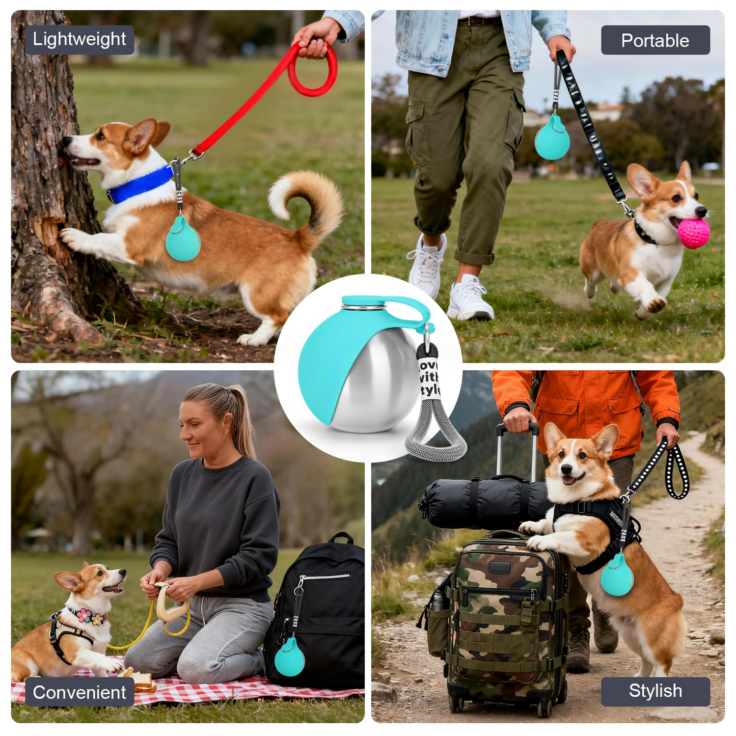 Collage of a dog using a leash, walking with a ball, being held by a person, sitting on a blanket, and standing on a suitcase with text labels on each image.