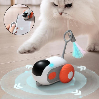 Remote Control Interactive Car Toy USB Charging