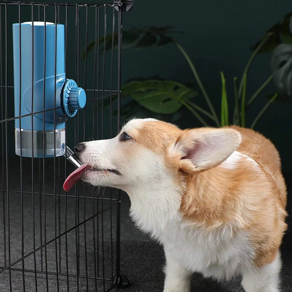 Pet Water Drinker Ball Feeder Hanging Water Drinker Cage