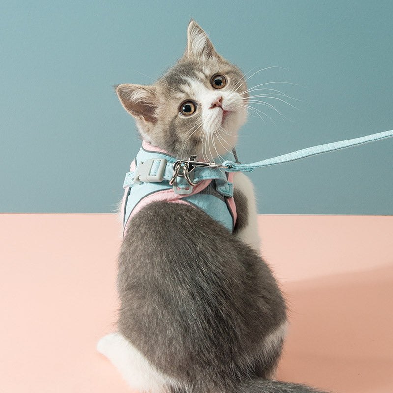 Cat Traction Rope Chest Strap To Prevent Breaking