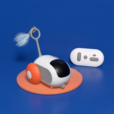 Remote Control Interactive Car Toy USB Charging