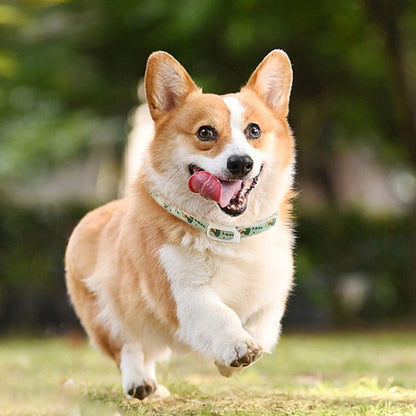 Pet Dog Repellent Collar, Cat Anti-flea Collar,