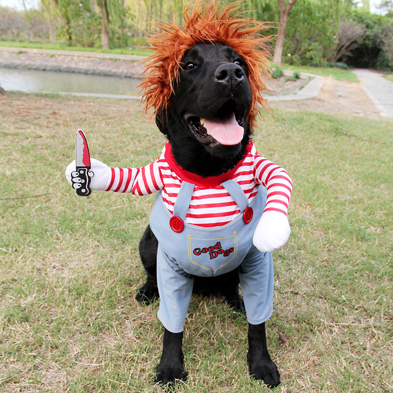 Black dog wearing a funny Halloween costume for cosplay and trick or treating