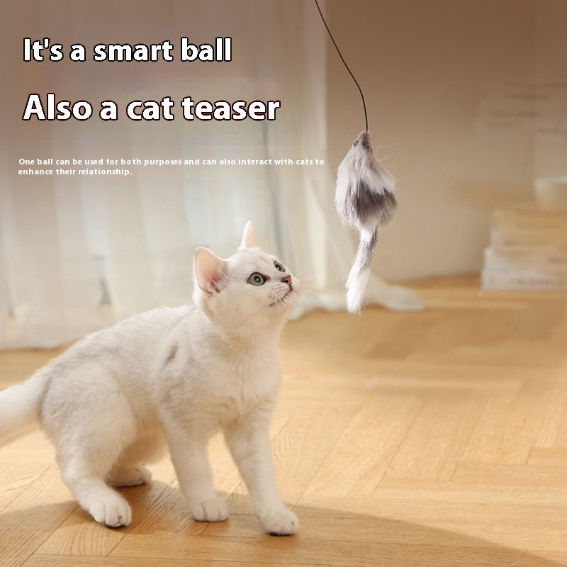 Cat Toys Mouse Teaser Ball Toy For Pets
