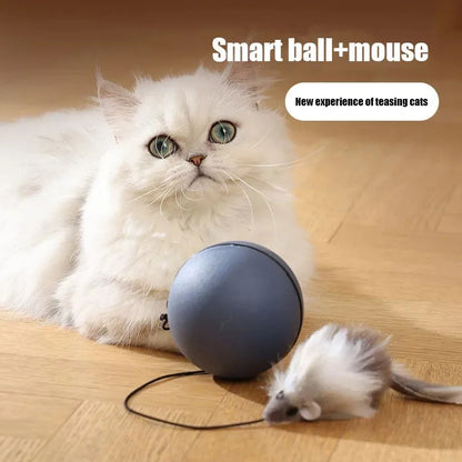 Cat Toys Mouse Teaser Ball Toy For Pets