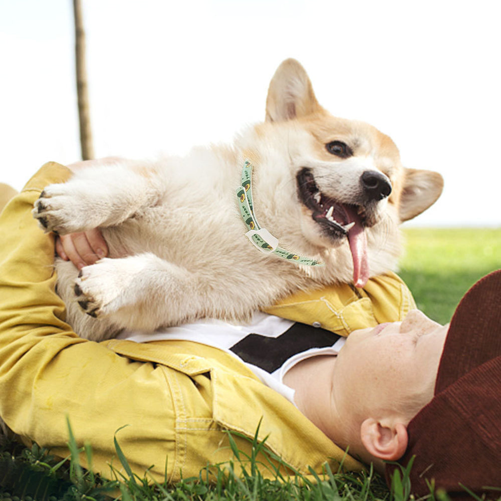 Pet Dog Repellent Collar, Cat Anti-flea Collar,