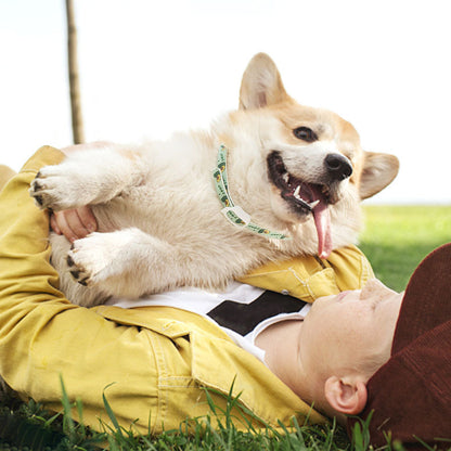Pet Dog Repellent Collar, Cat Anti-flea Collar,
