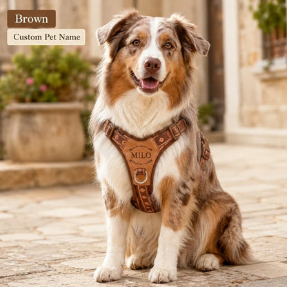 Personalized dog vest harness with custom identification tag by PawVibe