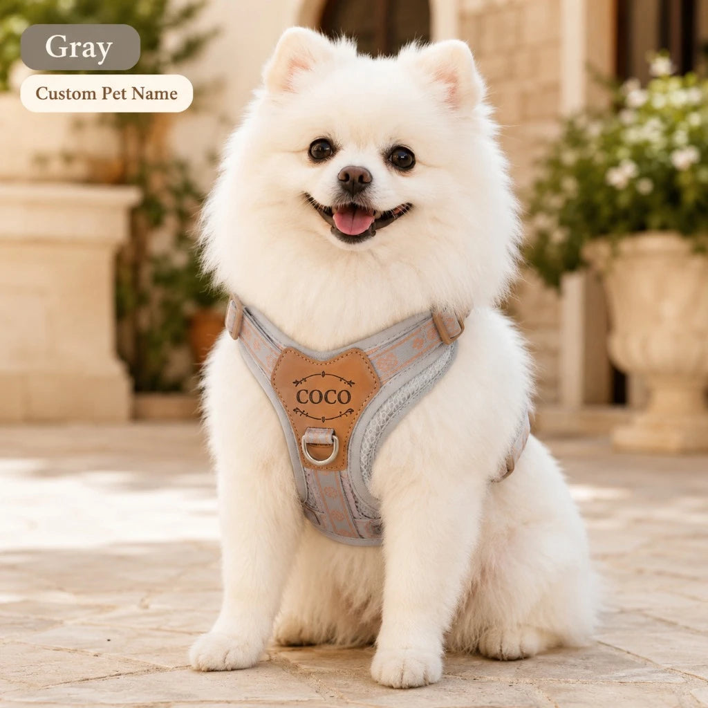 Custom name dog harness for pet owners seeking personalized accessories