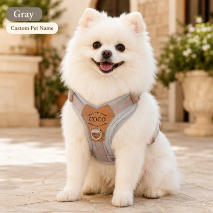 Custom name dog harness for pet owners seeking personalized accessories