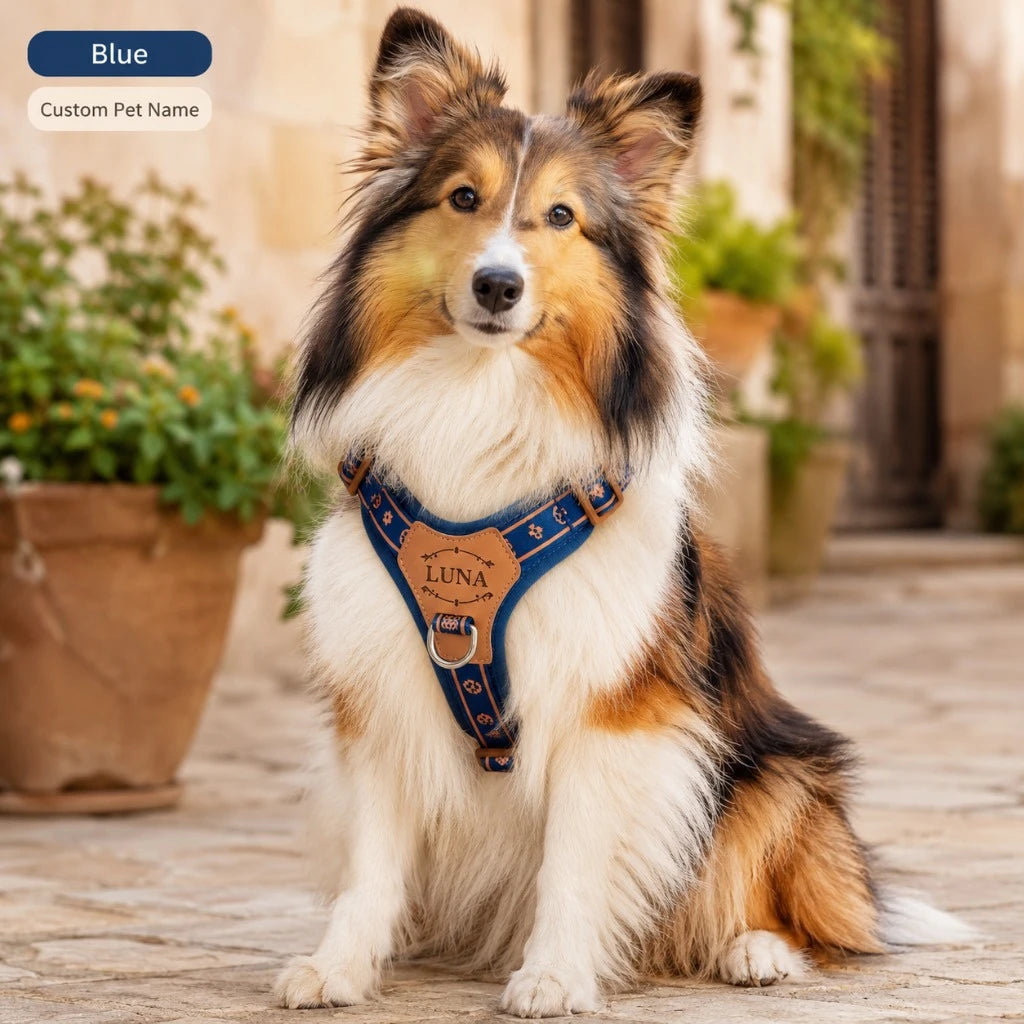 Close-up of engraved faux leather name tag on a custom dog harness
