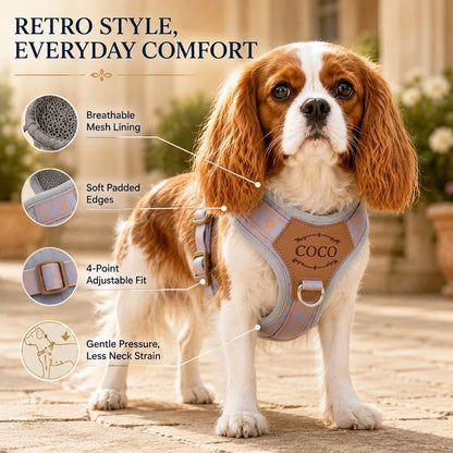 Custom pet harness with engraved name tag for dogs of all life stages