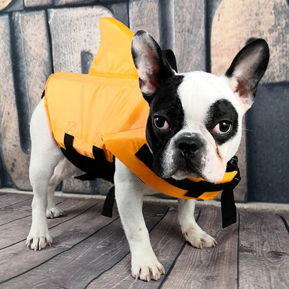 Orange shark fin dog swim vest for small and medium dogs