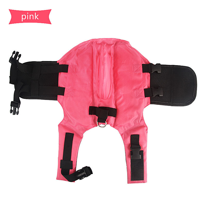 Close-up of dog life vest buckle, reinforced stitching, rescue handle, and adjustable safety straps.