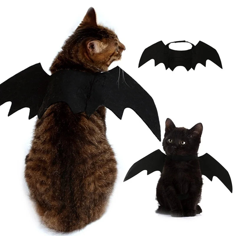 Black bat wings Halloween costume for cats with adjustable neck and chest straps