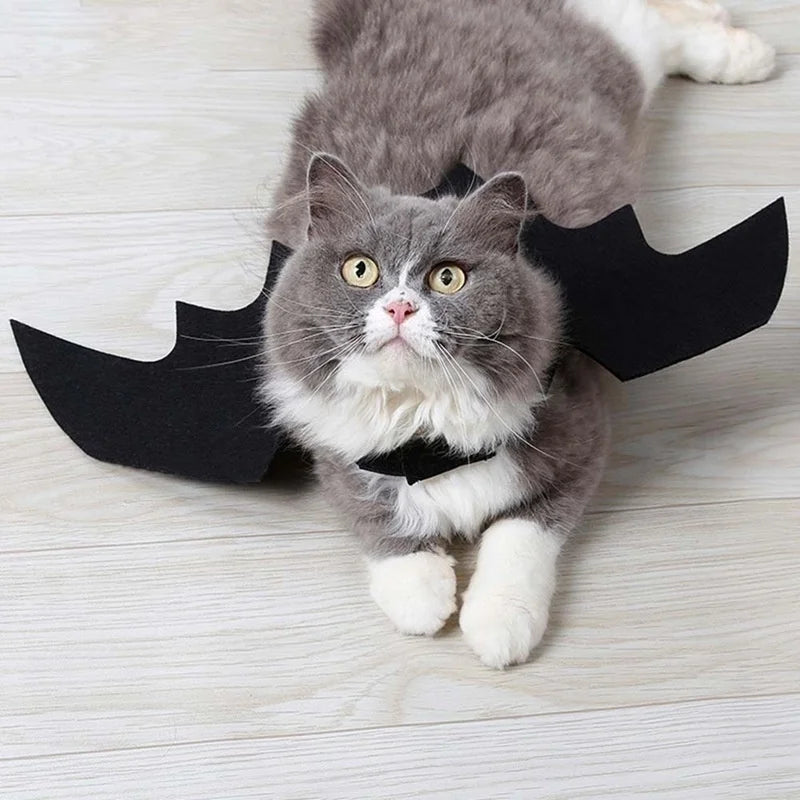 Cute black bat costume for cats for Halloween parties