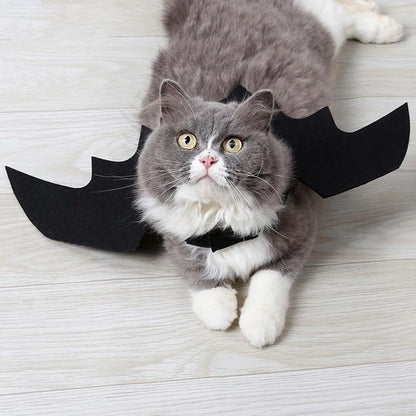 Cute black bat costume for cats for Halloween parties