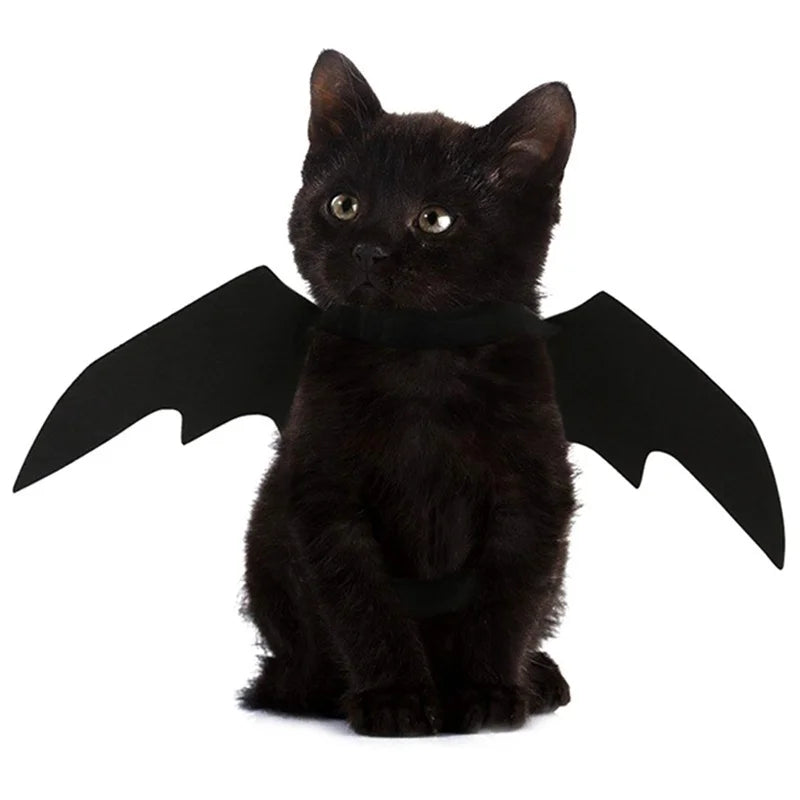 Lightweight black felt bat wings for cat Halloween dress-up
