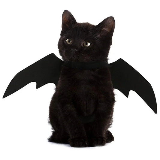 Lightweight black felt bat wings for cat Halloween dress-up