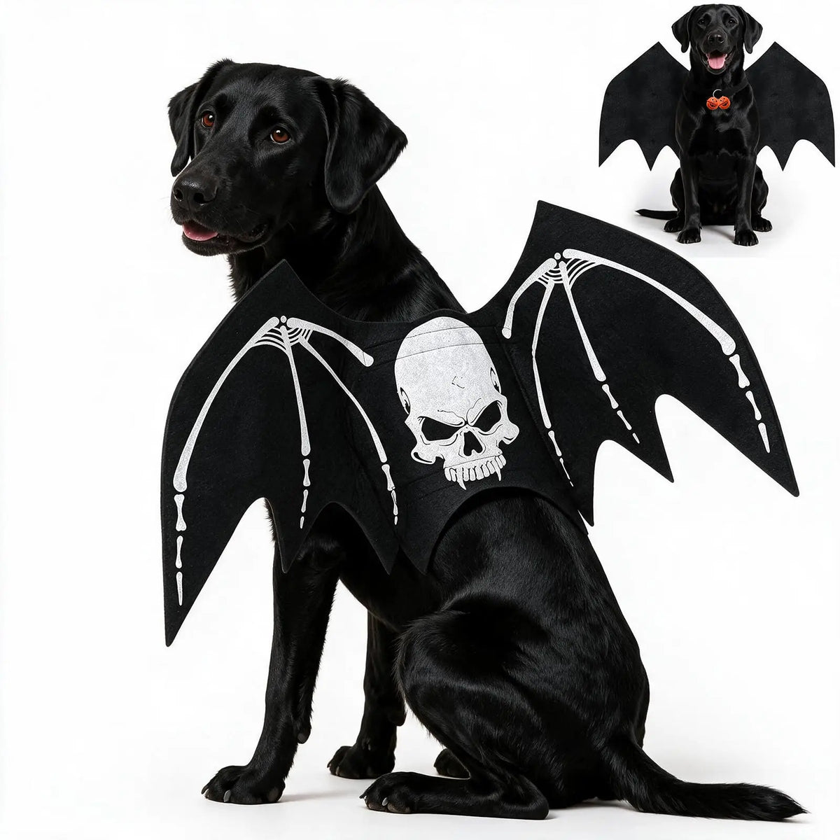 Halloween 2026 dog bat wing costume with skeleton print for large dogs