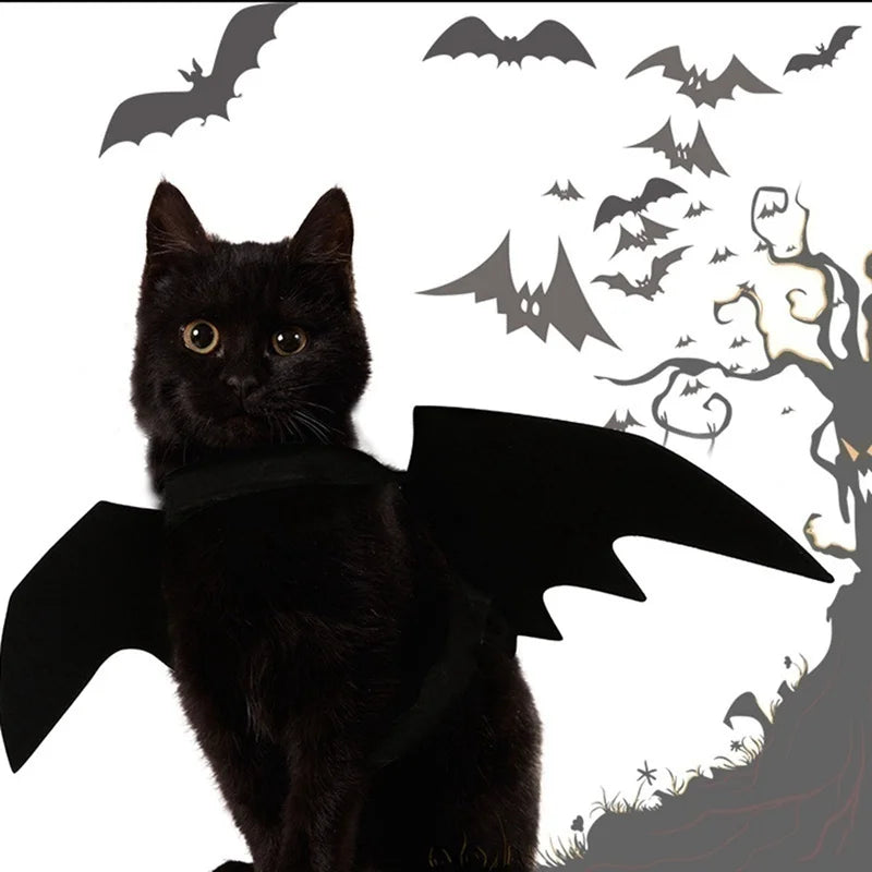Black bat wings Halloween costume for cats with adjustable straps
