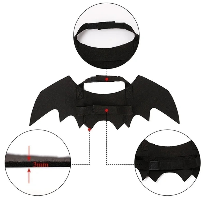 Spooky cat cosplay outfit for Halloween photoshoots