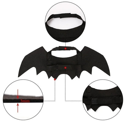 Spooky cat cosplay outfit for Halloween photoshoots