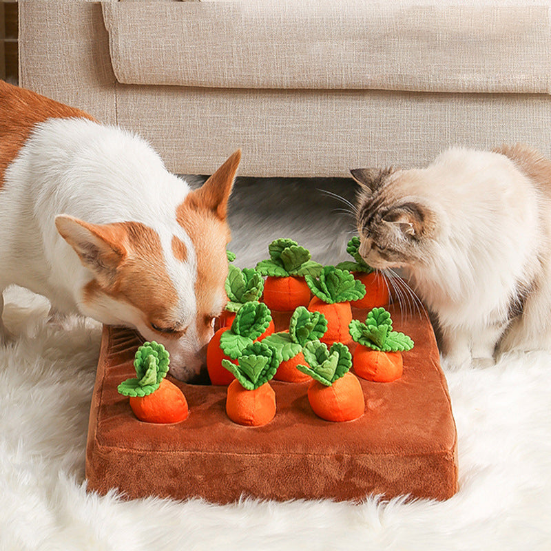 Dog and cat using carrot snuffle mat interactive pet puzzle toy for treat hiding