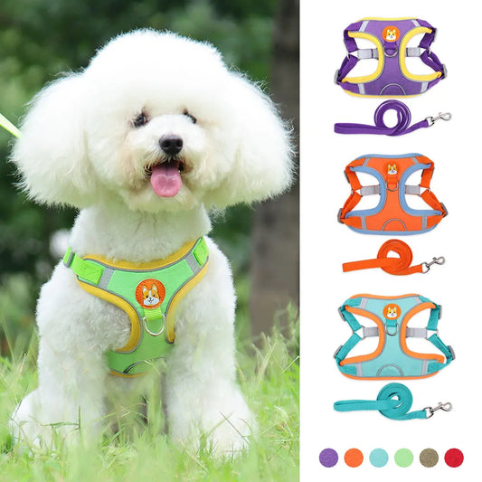 No Pull Adjustable Dog Leash And Harness Set