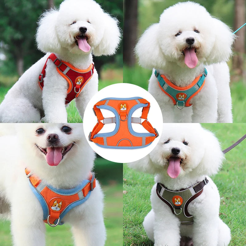 No Pull Adjustable Dog Leash And Harness Set