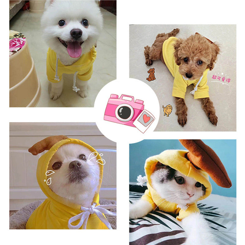 Yellow banana dog hoodie for small dogs in warm winter clothing