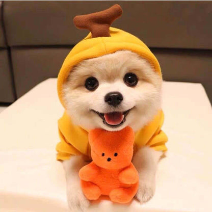 Banana dog hoodie for small dogs in cozy winter pet clothes