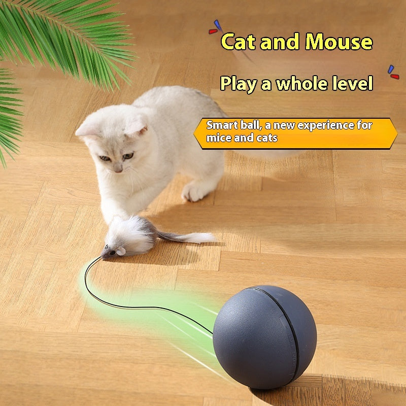 Cat Toys Mouse Teaser Ball Toy For Pets