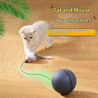 Cat Toys Mouse Teaser Ball Toy For Pets