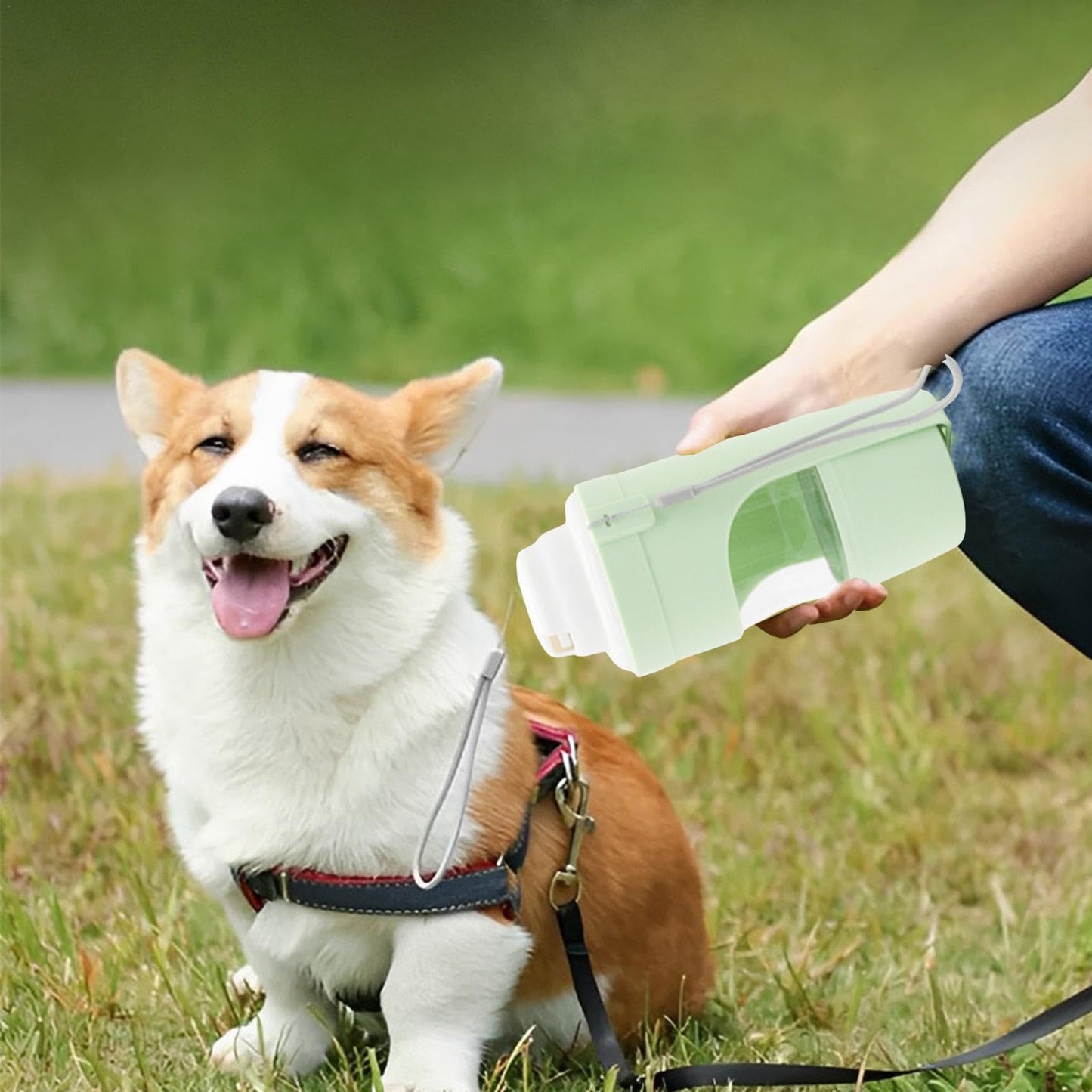 2 In 1 Travel Dog Water Bottle Pet Water Dispenser