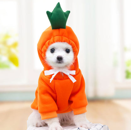 Carrot puppy hoodie with soft fabric for everyday comfort