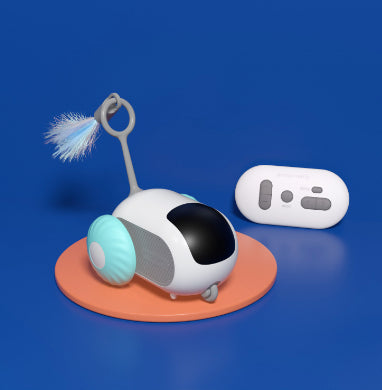 Remote Control Interactive Car Toy USB Charging