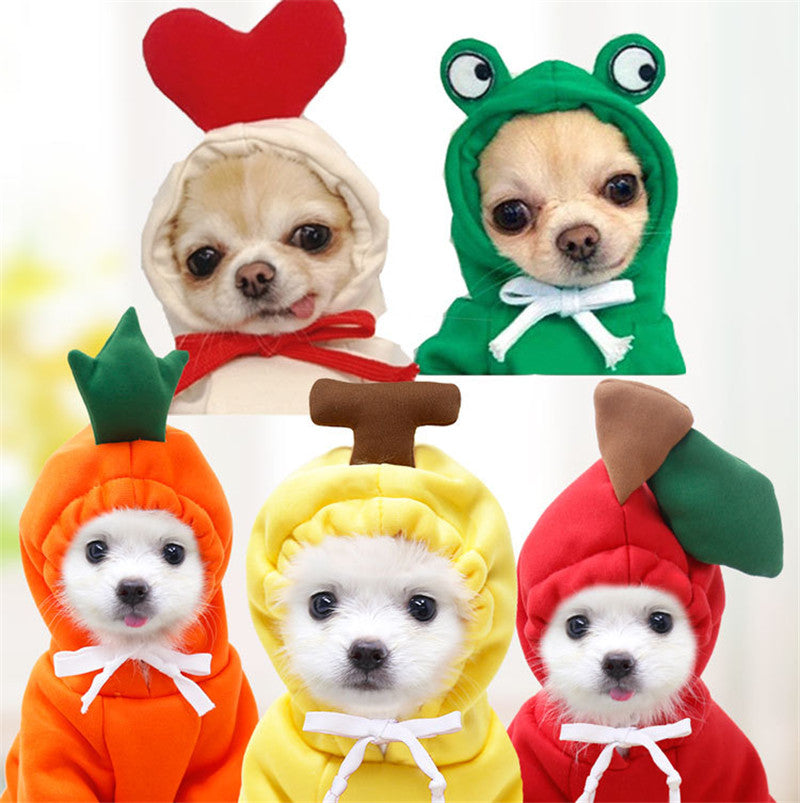 Cute winter dog hoodies for small dogs in fun fruit designs