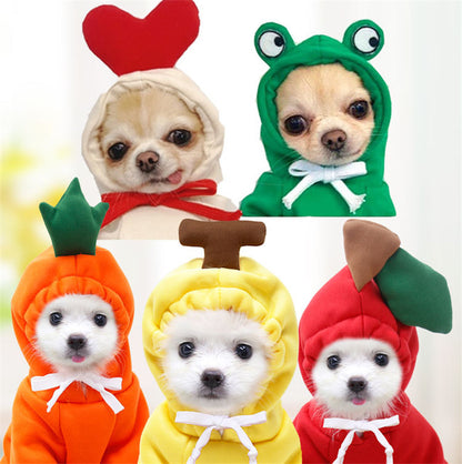Cute winter dog hoodies for small dogs in fun fruit designs