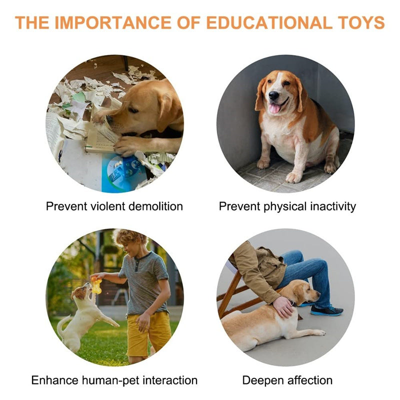 Educational toys for dogs