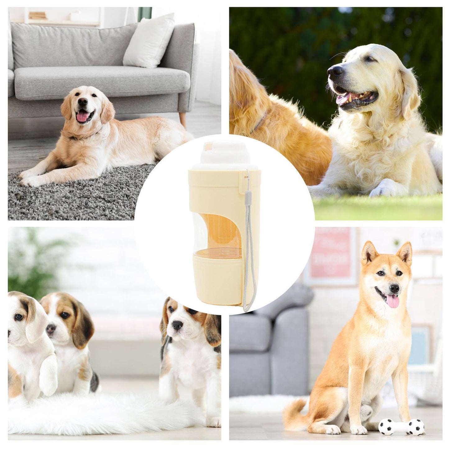 2 In 1 Travel Dog Water Bottle Pet Water Dispenser
