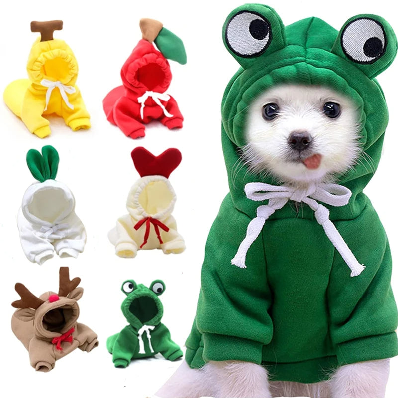 Green frog dog hoodie for small dogs perfect for everyday wear