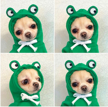 Green frog pet hoodie for small dogs and puppies