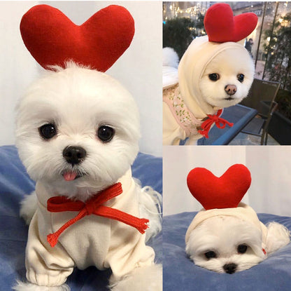 Small white dog wearing a heart hoodie made for cozy winter days